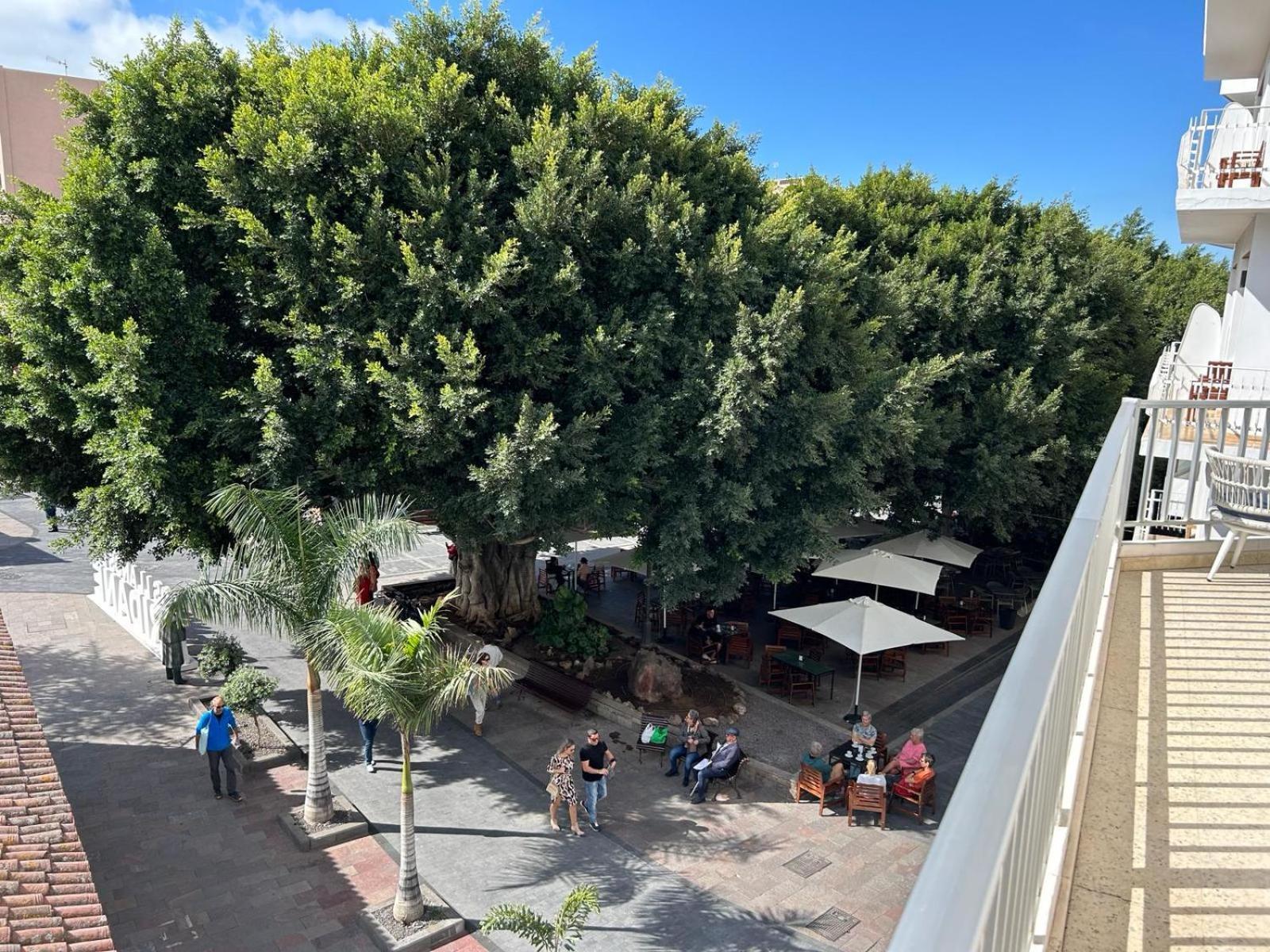 Apartamento Vista Plaza - Exceptional Location Los Llanos De Aridane Exterior foto